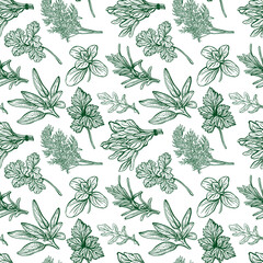 Seasonings and herbs pattern. Aromatic spices, healthy herbs. Basil, oregano, parsley, dill.Hand-drawn illustration.