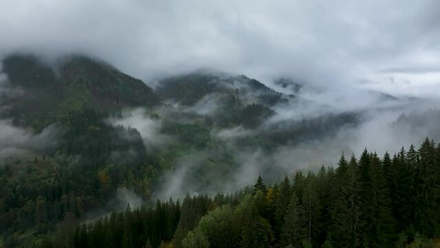 Top cinematic aerial view. Rainy weather in mountains. Misty fog blowing over Ukrainian village in the Carpathian Mountains. Aerial forest view. Ukraine. Forest landscape 