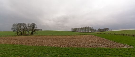 Farm landscape wiht bare trees in the countryside near Mons, Wallonia, Belgium