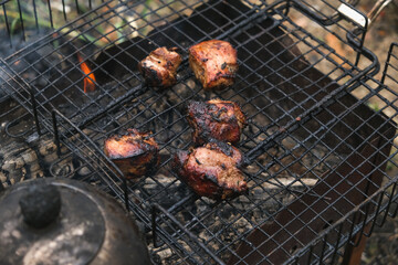 Cooking shish kebab on the grill. Cooking marinated meat on coals. Cooking meat on coals.