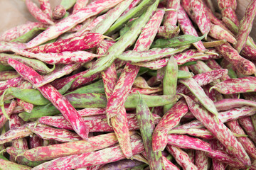 Colorful pattern with green and pink haricots