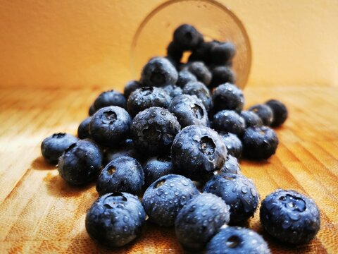 Fresh Blueberry fruits. Drops of water on organic blueberry