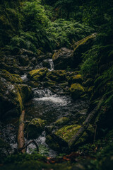 King's Trail Water Source