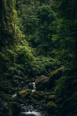 King's Trail Water Source
