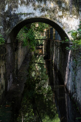arched bridge, with vegetation around it, water at the bottom of the bridge, mexico,