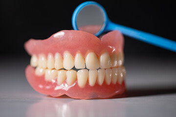 Dentist teeth and gums model