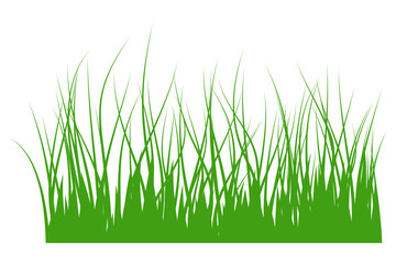 Fototapeta premium illustration of green grass