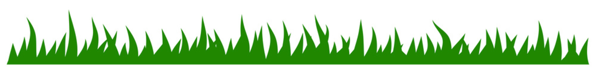 illustration of green grass