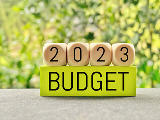 Finance and Economy Concept. Budget 2023 text background.