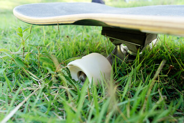 Close-up longboard  skateboard wheel in green grass.
