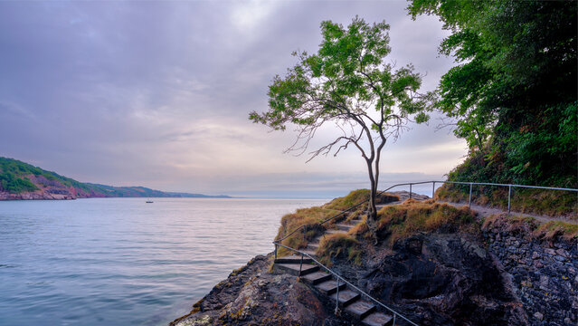 Sunrise at the lone tree on Babbacombe Beach, near Torquay, Devon