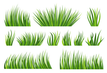 Green grass natural organic lawn flat set. Different shape spring herbal turf on white background. Summer bio herb meadow. Eco plant fresh bush. Greenery leaves cartoon icon. Foliage landscape border