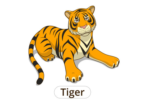 Tiger cartoon PNG illustration with transparent background