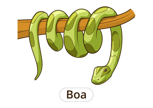 Boa snake cartoon PNG illustration with transparent background