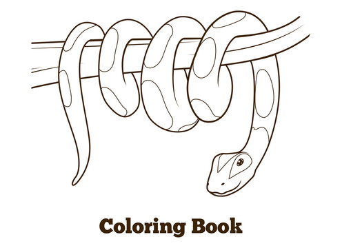 Boa cartoon coloring book PNG illustration with transparent background