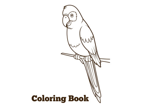 Parrot cartoon coloring book PNG illustration with transparent background