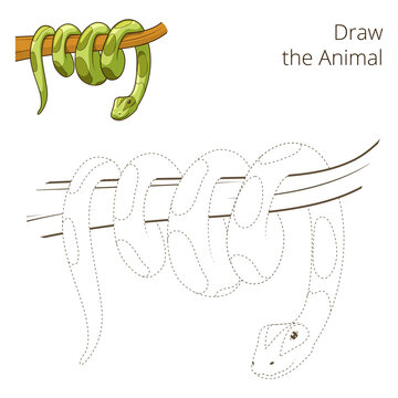 Draw the animal bull educational game PNG illustration with transparent background