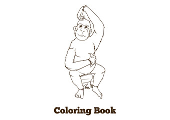 Orangutan cartoon coloring book PNG illustration with transparent background