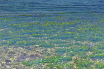 green water