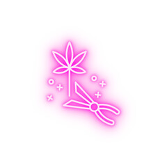Harvest marijuana neon icon