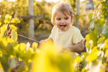 Little baby girl making faces standing through grape vines on a farm. Child playing in vineyard. Happy loving family.