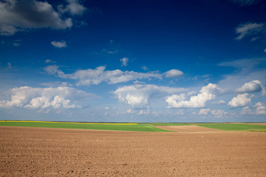 Agricultural landscape, a plowed field in the countryside of Serbia, in Voivodina, in titel in spring. The plough is one of the techniques used in agriculture to fertilize a land....