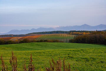 Fototapeta premium 秋の丘陵畑作地帯と火山 十勝岳 