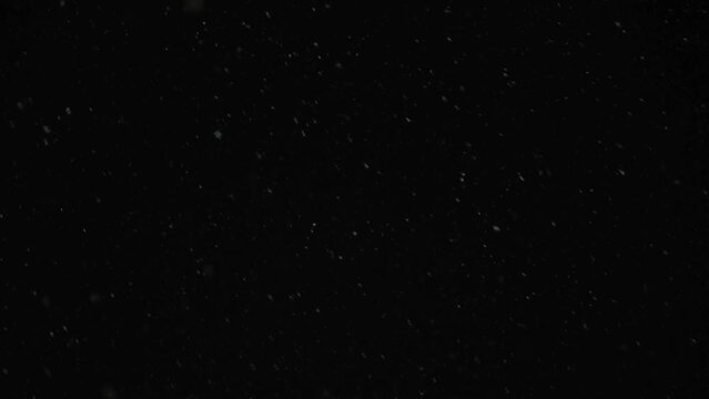 The first Snow is swirling in large flakes against the dark night sky