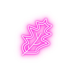 Leaf neon icon