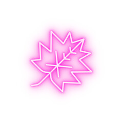 Maple leaf neon icon