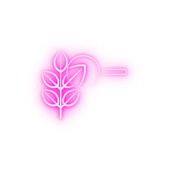 Herbal alternative medicine neon icon