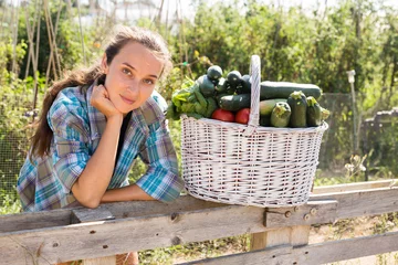 Fototapeten Smiling young woman posing in vegetable garden with basket full of harvest of fresh vegetables © JackF