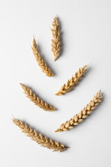 Spike shape made with ears of wheat on white background, flat lay