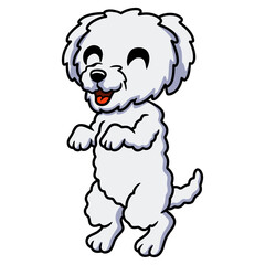 Obraz premium Cute bichon frise cartoon standing