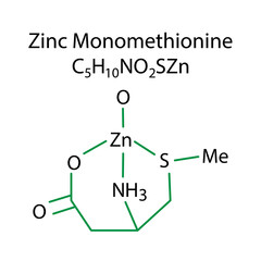 zinc monomethionine icon. Chemical formula. Vector illustration. Stock picture.