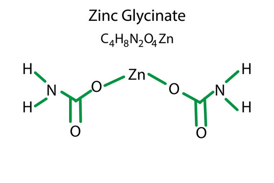 Flat zinc glycinate. chemical formula. Vector illustration. stock image. 
