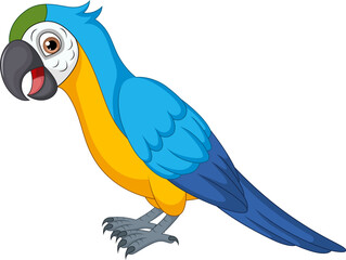 Cute macaw cartoon on white background