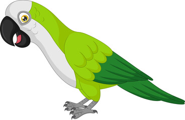 Cute macaw cartoon on white background