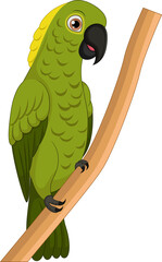 Cute macaw cartoon on tree branch