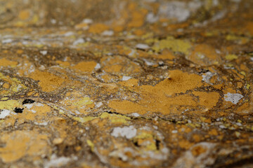 Macro shot of golden, bronze and silver particles