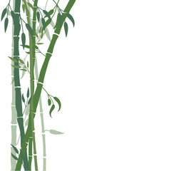 bamboo leaves isolated on white