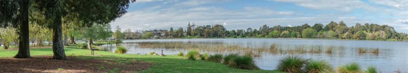 Lake view with trees, birds and benches