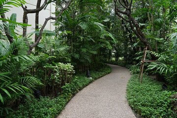 A walkway inside a tropical forest park with trees.
