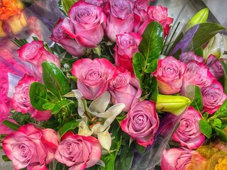 bouquet of roses
