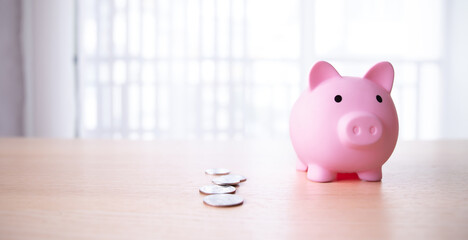 Piggy bank savings cheap coin bank penny currency coin.Accumulation concept, insurance.