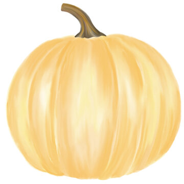 hand drawing orange pumpkin watercolor