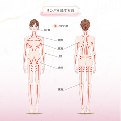 リンパを流す方向