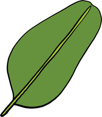 simplicity banana leaf freehand continuous drawing flat design.