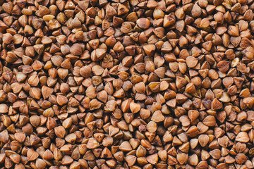 Buckwheat groats close-up. Background, texture. Healthy food.
