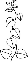 simplicity ivy freehand drawing flat design